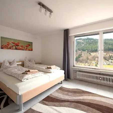 Ferienwohnung Mit Wunderschoner Aussicht,direkt Am Waldrand! Lejlighed *