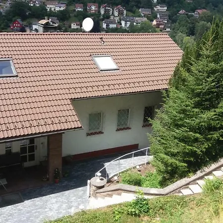 Lejlighed Ferienwohnung Mit Wunderschoner Aussicht,direkt Am Waldrand! *