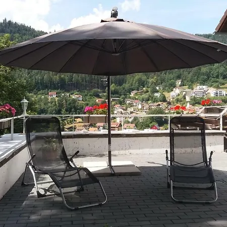 Lejlighed Ferienwohnung Mit Wunderschoner Aussicht,direkt Am Waldrand! *