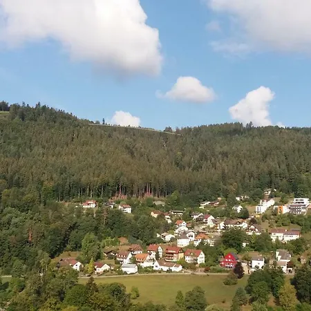 Ferienwohnung Mit Wunderschoner Aussicht,direkt Am Waldrand! Lejlighed *