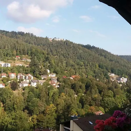 Ferienwohnung Mit Wunderschoner Aussicht,direkt Am Waldrand! Lejlighed *