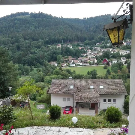Lejlighed Ferienwohnung Mit Wunderschoner Aussicht,direkt Am Waldrand! Bad Wildbad