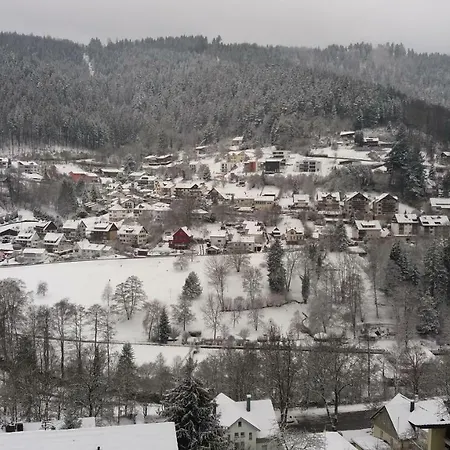 Lejlighed Ferienwohnung Mit Wunderschoner Aussicht,direkt Am Waldrand!