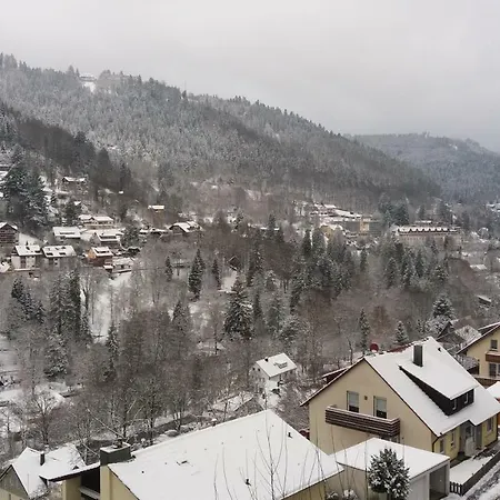 Ferienwohnung Mit Wunderschoner Aussicht,direkt Am Waldrand! Lejlighed Bad Wildbad