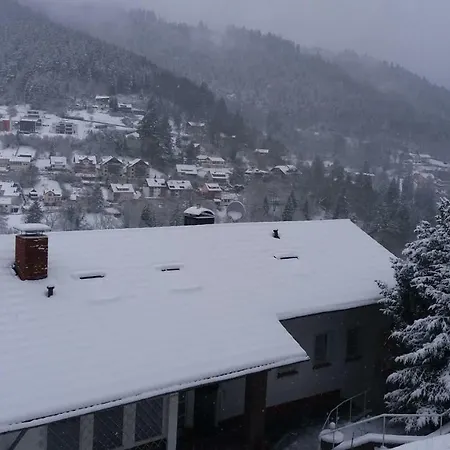 Ferienwohnung Mit Wunderschoner Aussicht,direkt Am Waldrand! Lejlighed Bad Wildbad