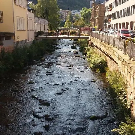 Lejlighed Ferienwohnung Mit Wunderschoner Aussicht,direkt Am Waldrand! *